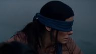 Still from Bird Box (Image via YouTube/@netflix)